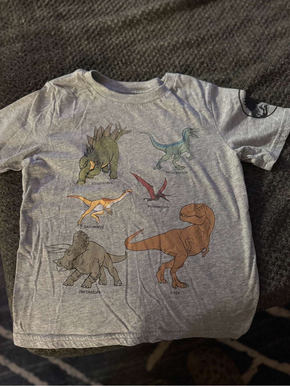 Gray Kids Dinosaur Graphic Tee